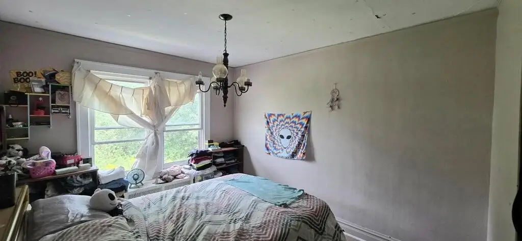 Picture 9