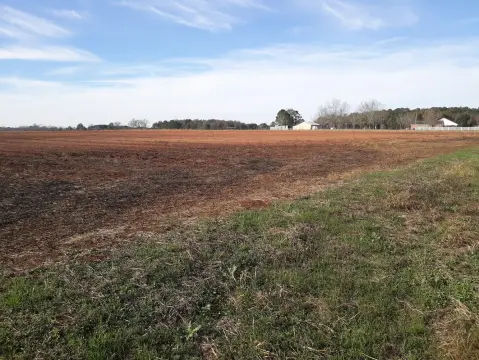 Daleville Land: Development Opportunity