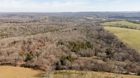 83 Acres Hunting and Recreation