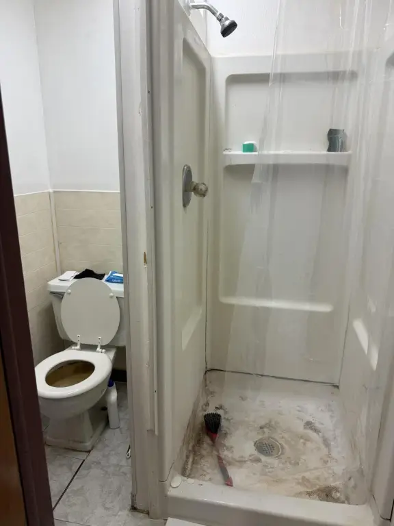 Picture 15