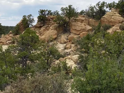 Recreation Land with Scenic Views