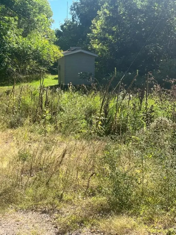 Picture 19
