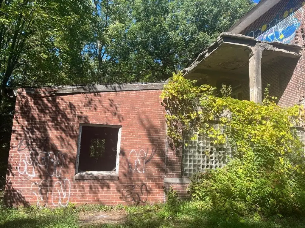 Picture 21