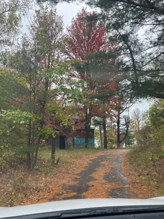 Picture 29