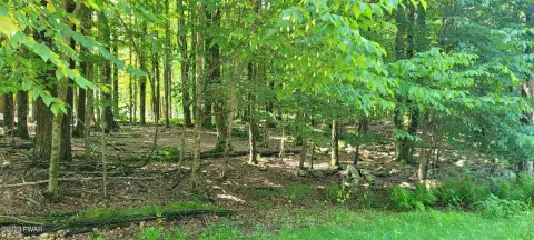 Wooded Lot in Amenity-Rich Community