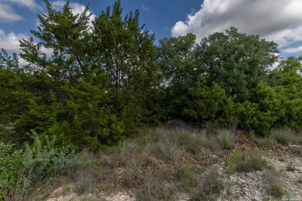 Picture 17