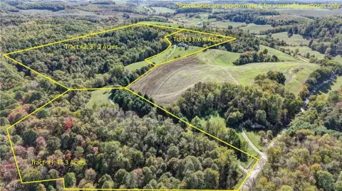 Wooded Land with Hunting Potential