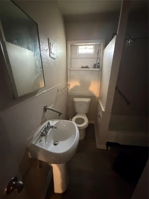 Picture 21