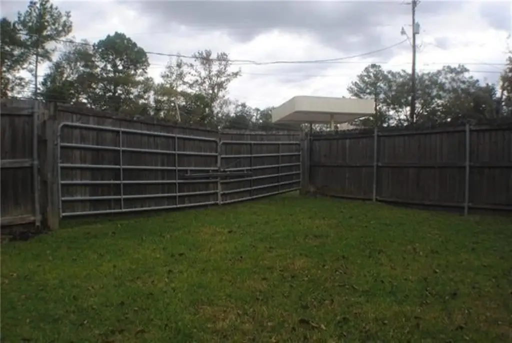 Picture 8
