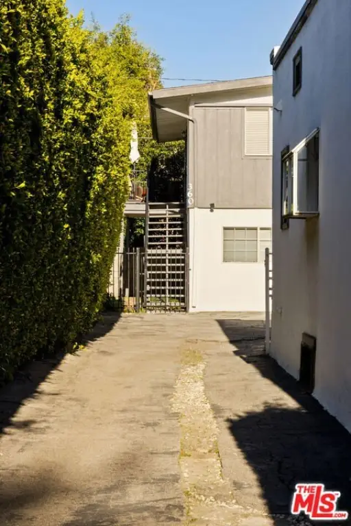 Picture 14