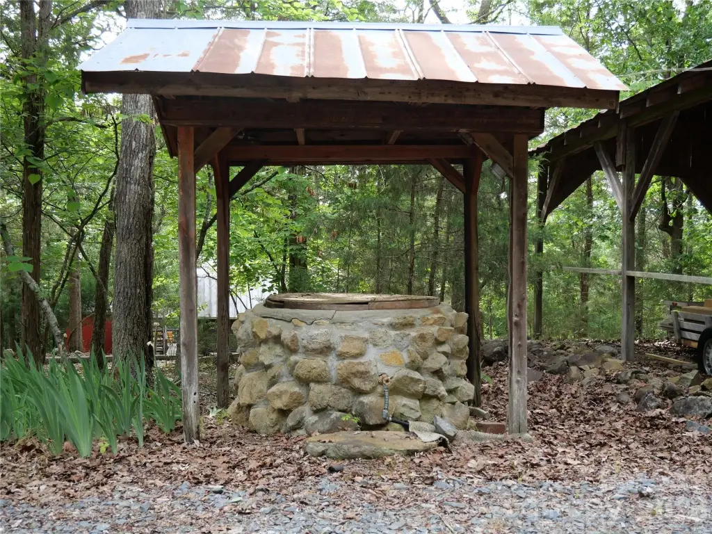 Picture 8