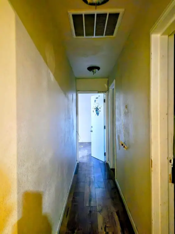 Picture 29