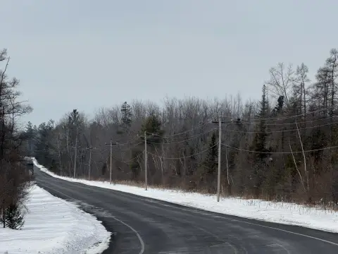 49 Acres Wooded Land Cheboygan