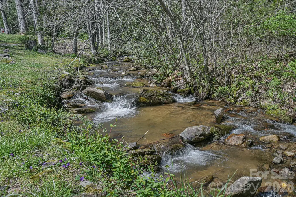 Picture 26