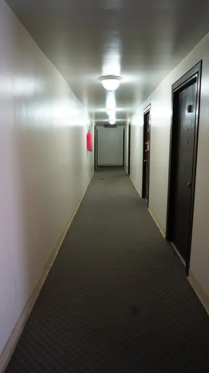 Picture 20