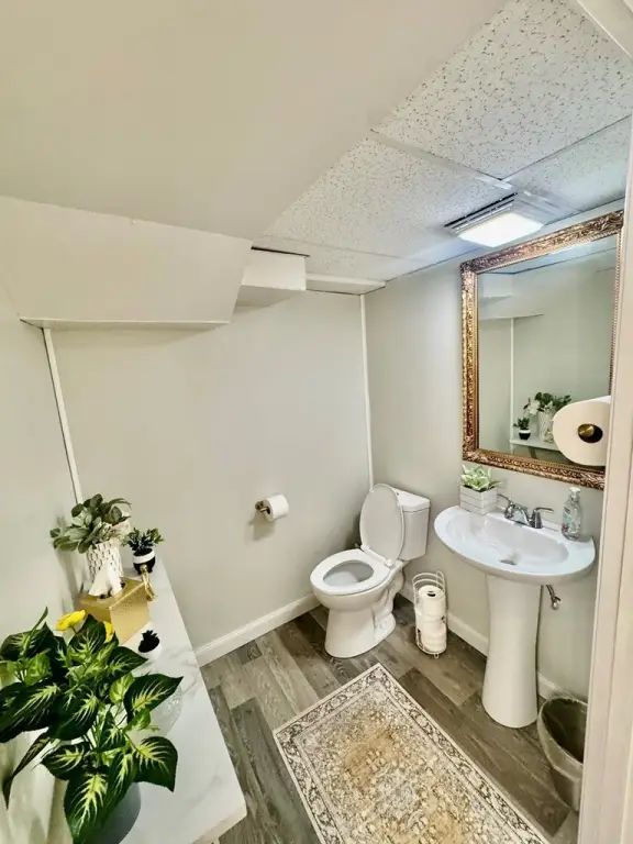 Picture 31