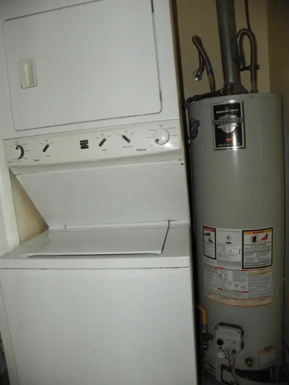 Picture 8