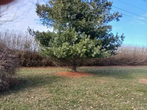 Land in Desirable Coastal Community