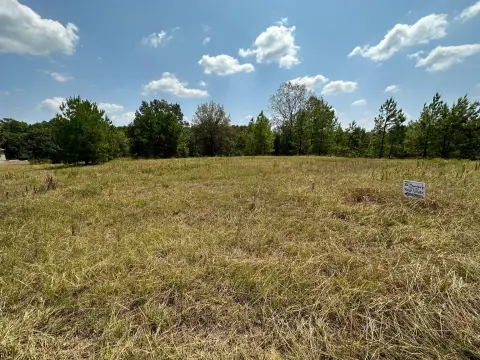 Restricted Lot on Toledo Bend