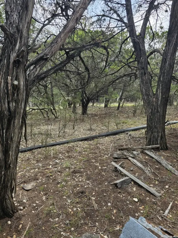 Picture 6