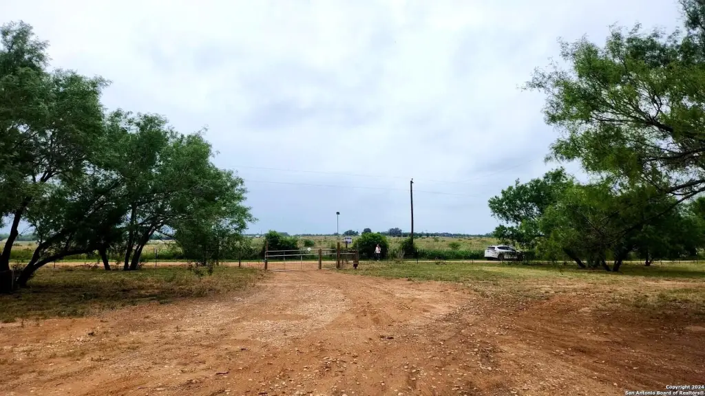 Picture 22