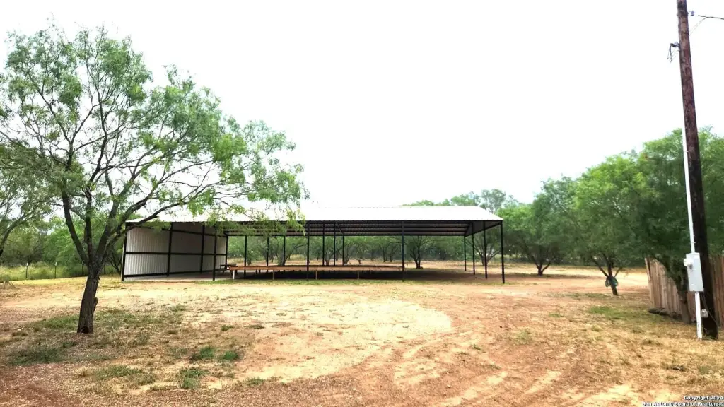 Picture 5
