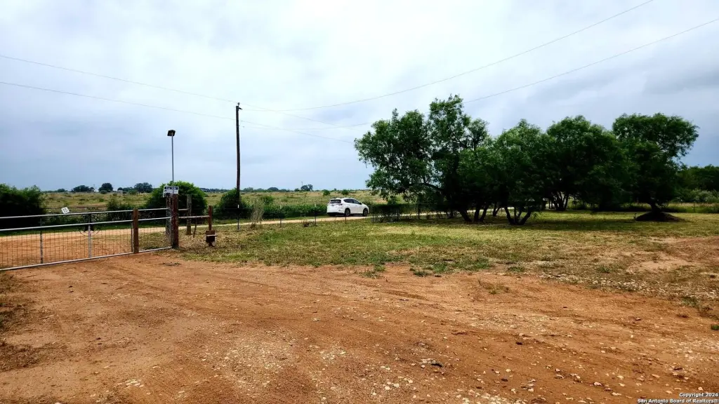 Picture 21