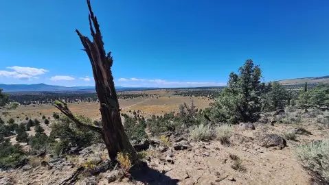 Bend, OR Recreational Land