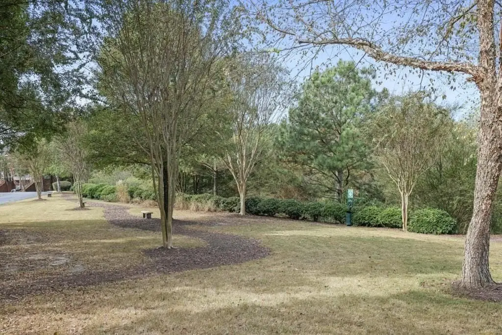 Picture 40