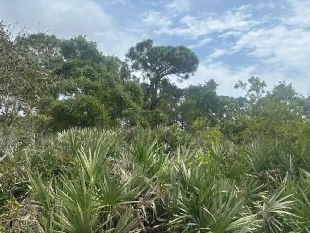 Picture 3