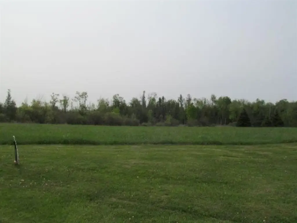 Picture 19