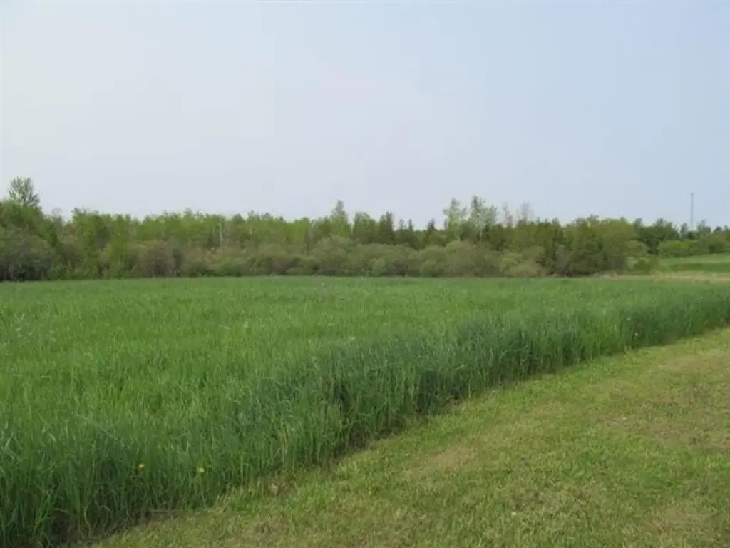 Picture 14