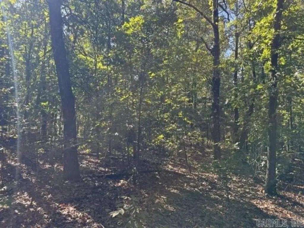Picture 25
