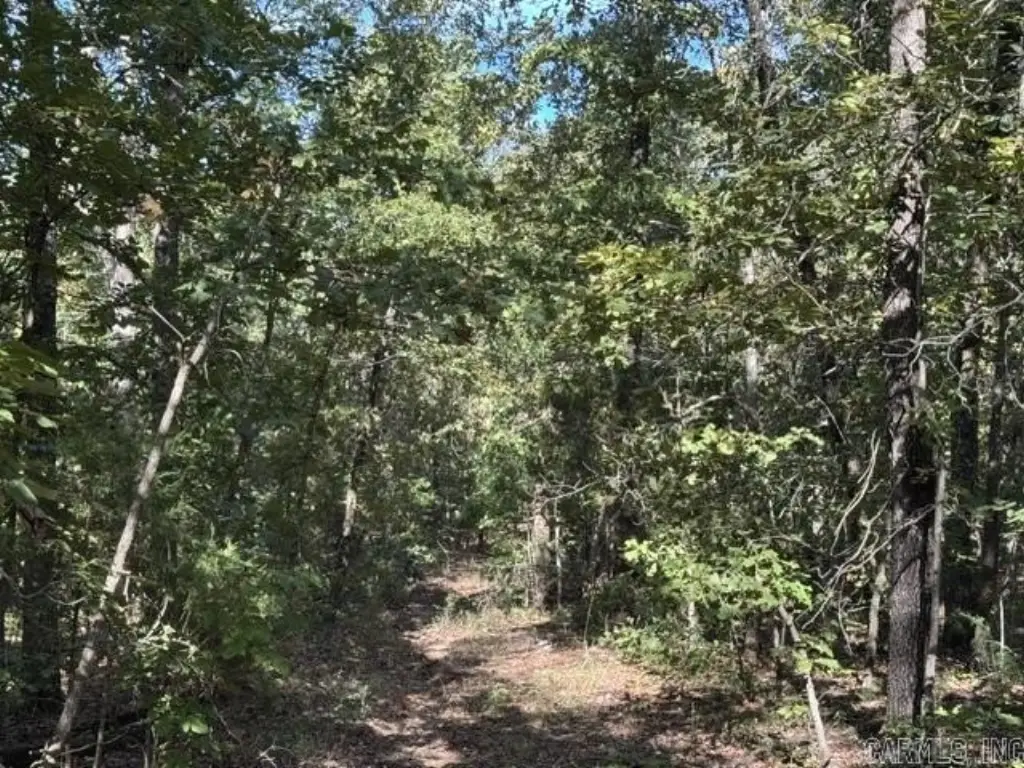 Picture 17