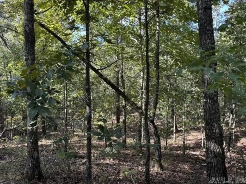 Picture 20