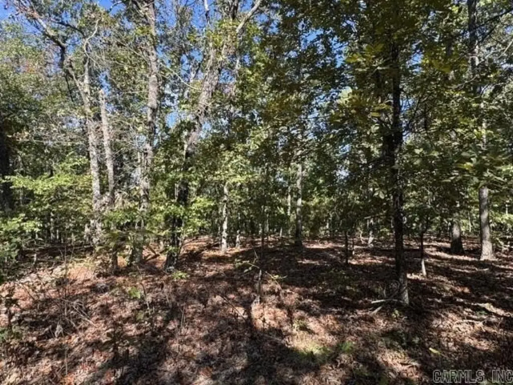 Picture 29