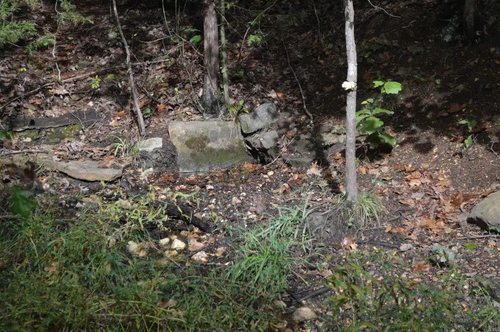 Picture 3