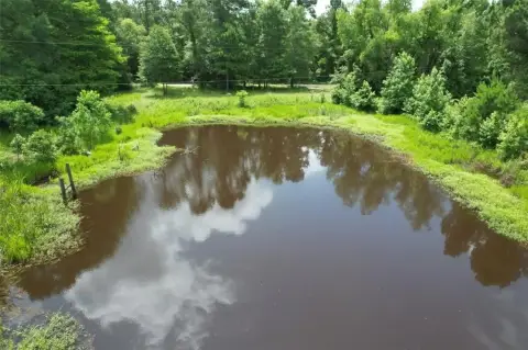 Unrestricted Land Near National Forest