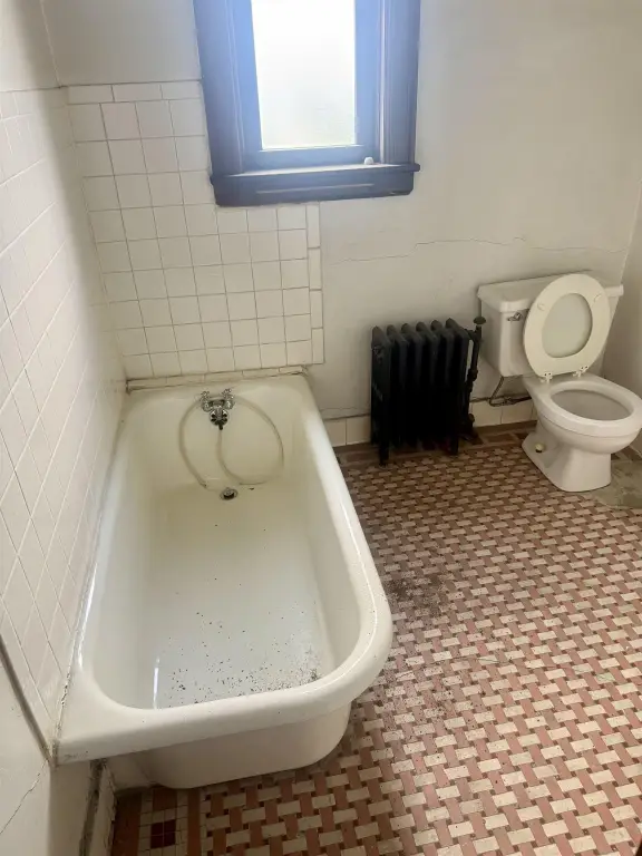 Picture 16