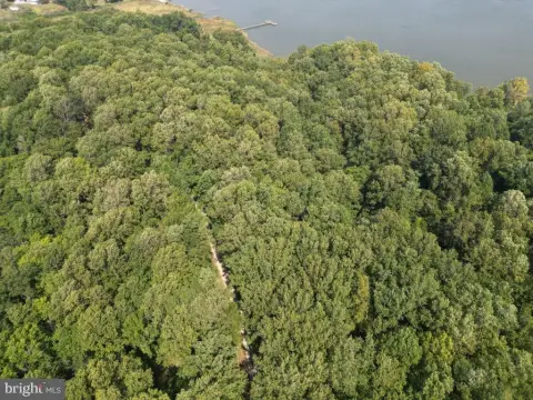 Secluded Riverfront Land For Sale