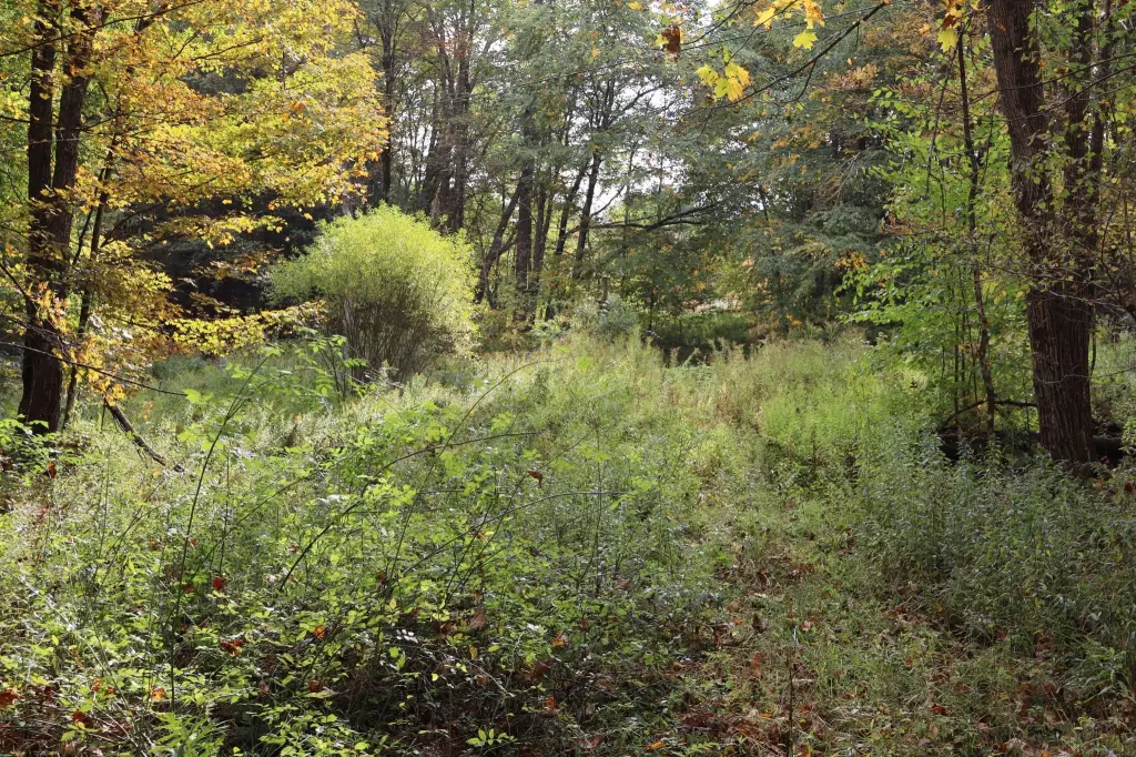 Picture 28
