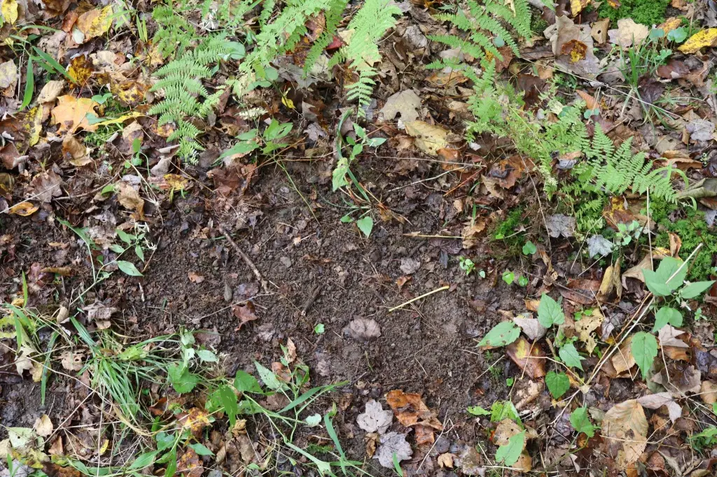 Picture 16