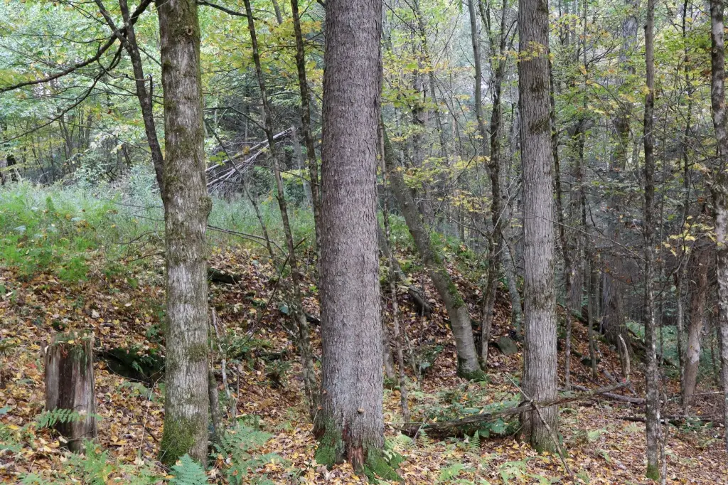 Picture 3