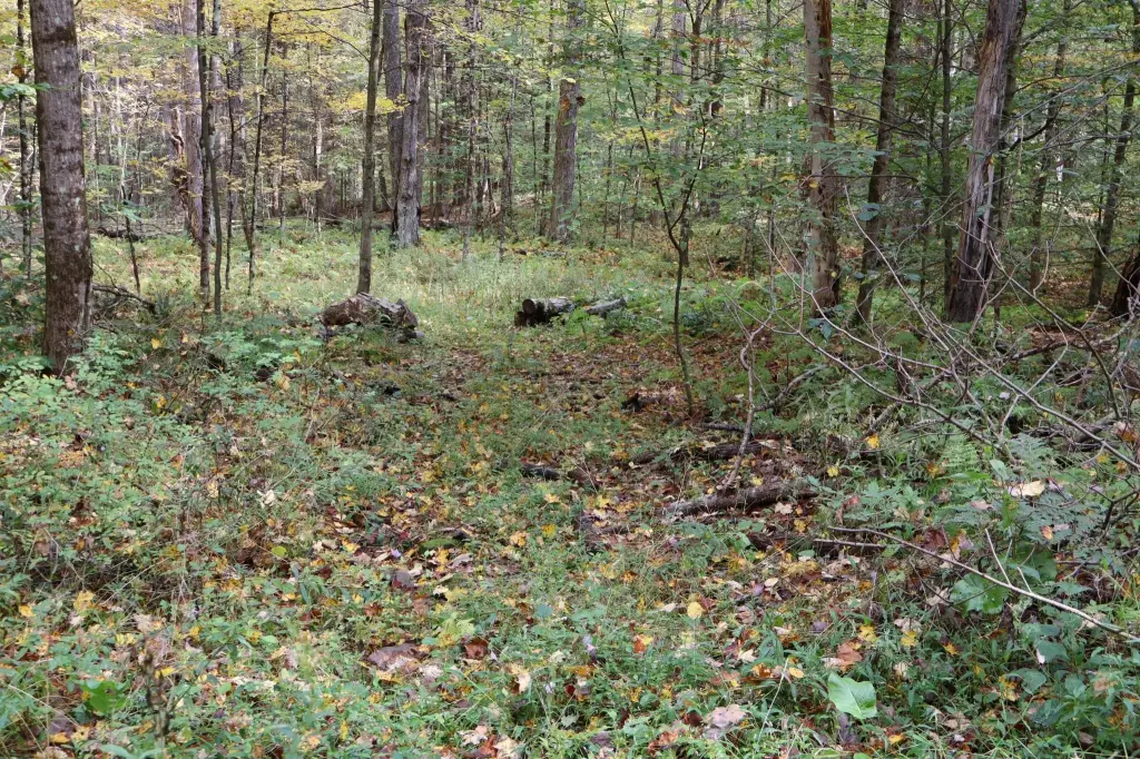 Picture 24