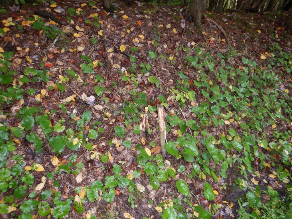 Picture 14