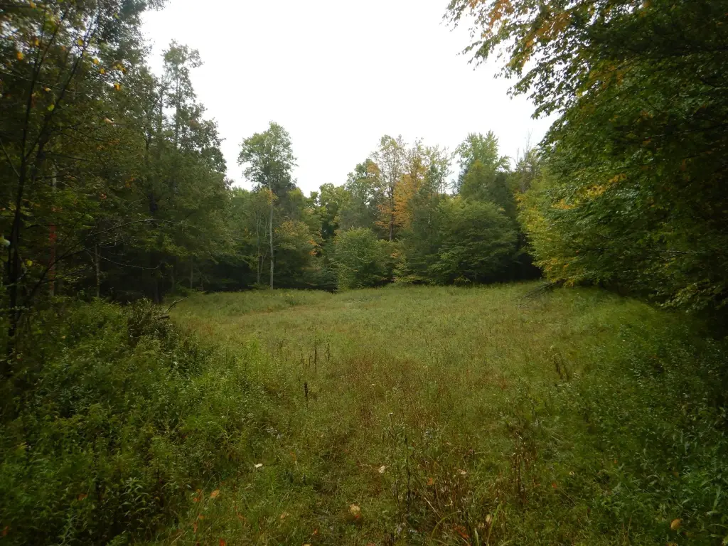 Picture 18