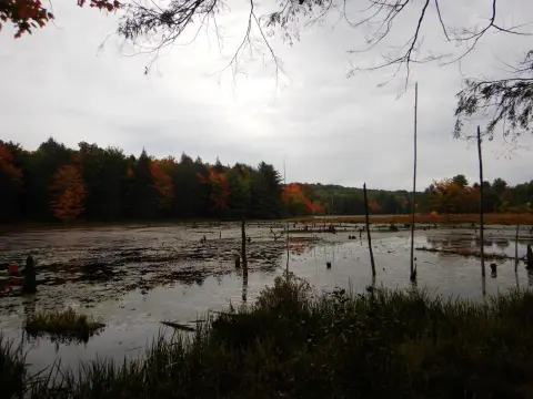 Hunting Land with ATV Trail Network
