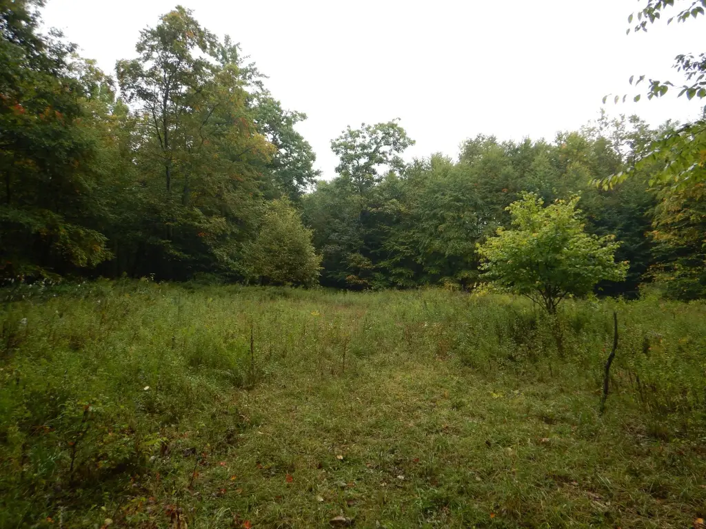 Picture 13