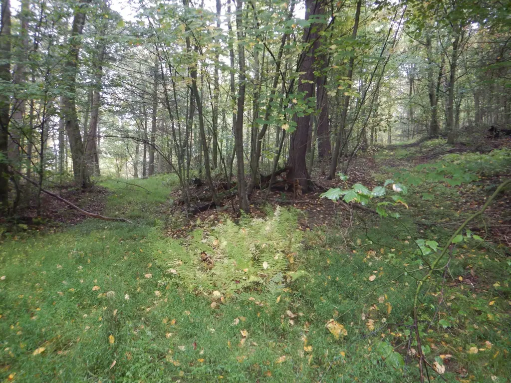 Picture 21