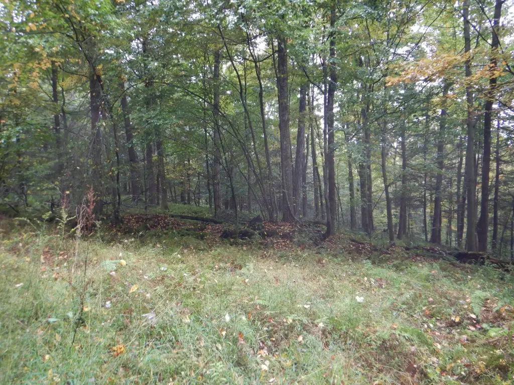Picture 17